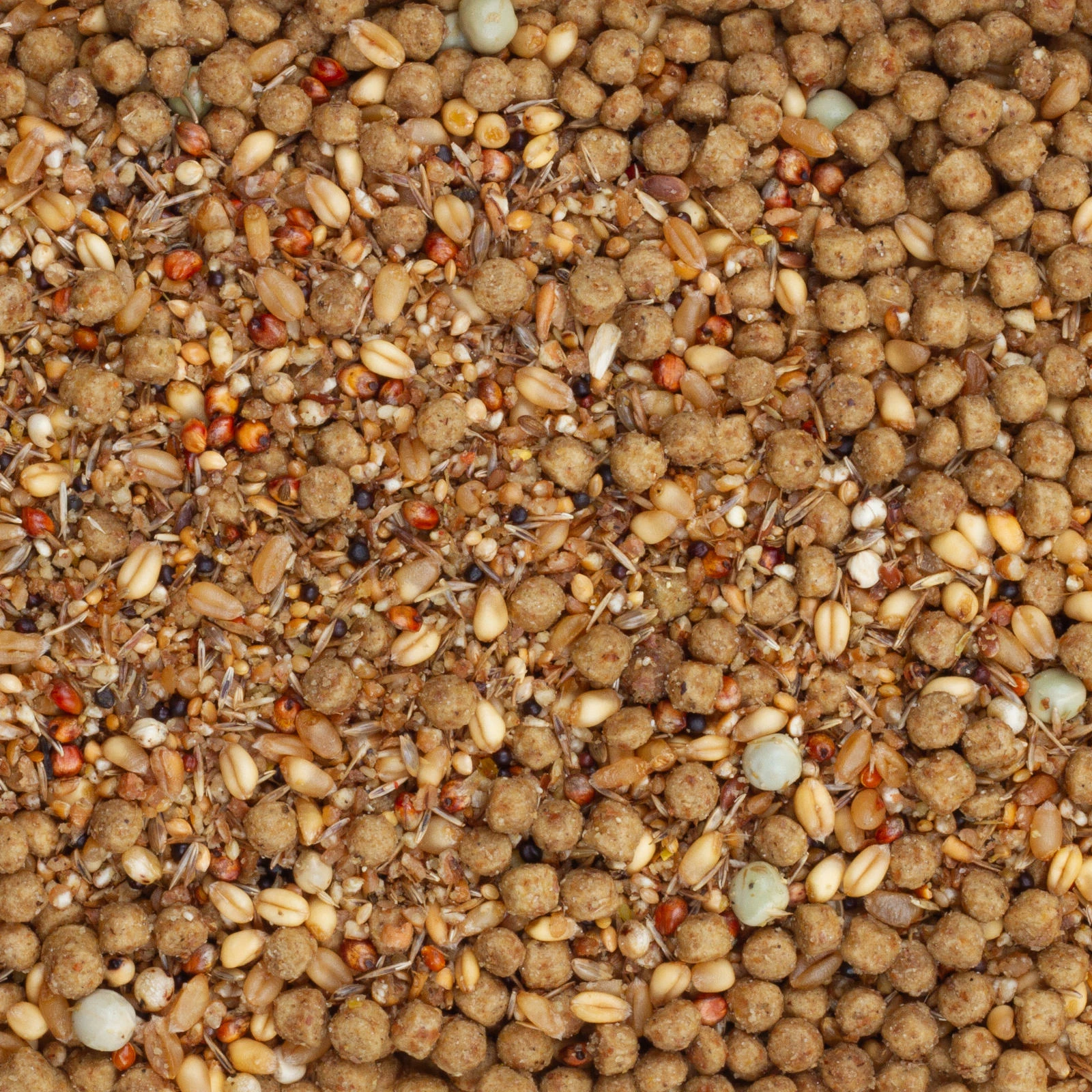 Beyers Energy Tovo 12kg 1 Beyers Energy Tovo 12kg