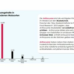 Versele Master Witwer 20kg -Josera Geschäft antioxidantien 21