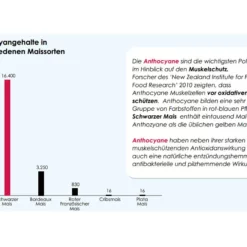 Versele Gerry Plus IC+ Black Label 20kg -Josera Geschäft antioxidantien 215