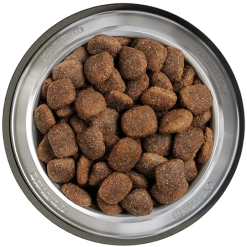 Belcando Adult Power 2er-Pack 25kg -Josera Geschäft belcando napf adult power 800x8000