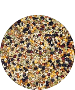 Versele Champion Plus IC+ Black Label, 20kg