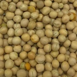 VERSELE-LAGA Erbsen Gelb - Versele 25kg