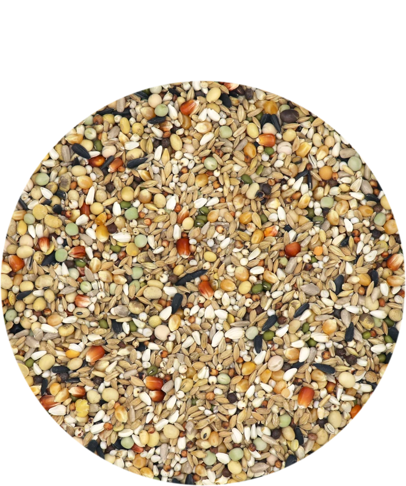 Versele Hirn 2 20kg 1 Versele Hirn 2 20kg