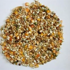 Versele Junior Plus I.C.⁺ 20kg