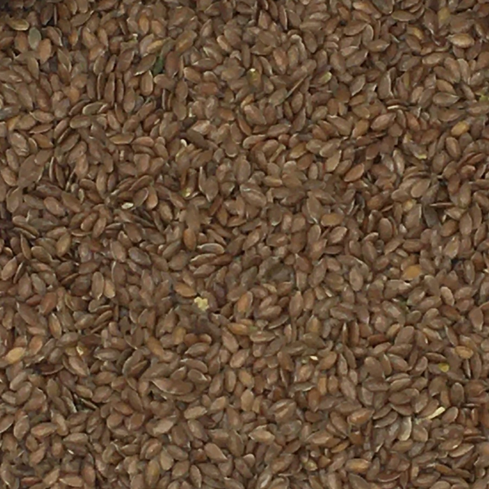 Leinsamen Braun - Vanrobaeys 20kg 1 Leinsamen Braun - Vanrobaeys 20kg