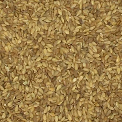 Leinsamen Gelb - Vanrobaeys 25kg