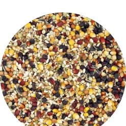 Versele Master Witwer 20kg