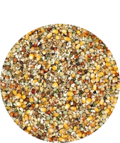 Versele Reise Active Life 25kg