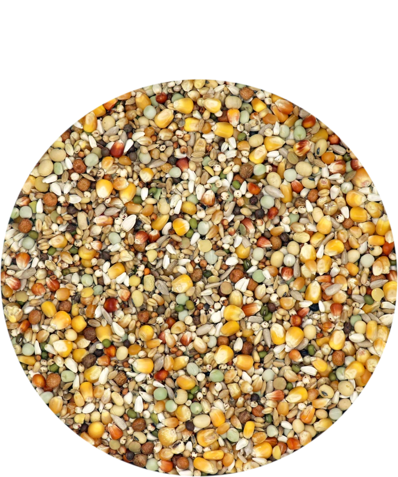 Versele Reise Active Life 25kg 1 Versele Reise Active Life 25kg