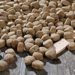 Bewital Bewi Dog Balance 12,5kg 6 Bewital Bewi Dog Balance 12,5kg -Josera Geschäft rs2902 balance kroketten lineal img 1797b klein1