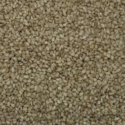 Sesamsaat - Vanrobaeys 25kg