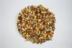 Versele Start Plus I.C.⁺ 20kg