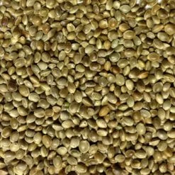 Hanfsaat Mittel - Vanrobaeys 15kg