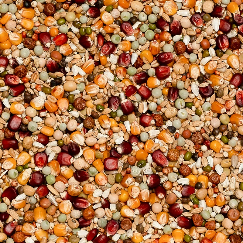 Tauben Geschäft 31 Tauben Geschäft -Josera Geschäft beyers premium jelle jellemann 20kg